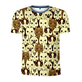 Мужская футболка 3D спортивная с принтом Коты бомбинг , 100% полиэстер с улучшенными характеристиками | приталенный силуэт, круглая горловина, широкие плечи, сужается к линии бедра | 3d | животные | коты | котэ | котята | милые животные | прикольные | цветные | яркие
