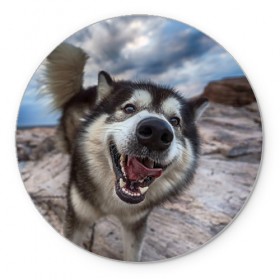 Коврик круглый с принтом Smile , резина и полиэстер | круглая форма, изображение наносится на всю лицевую часть | dog | лабрадор | мопс | пес | собака | такса | хаски | щеночек