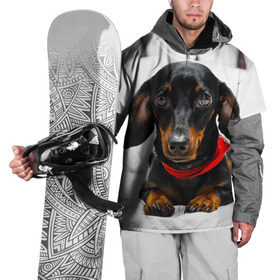 Накидка на куртку 3D с принтом Пёсик , 100% полиэстер |  | dog | пес | собака | такса | щеночек