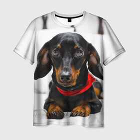 Мужская футболка 3D с принтом Пёсик , 100% полиэфир | прямой крой, круглый вырез горловины, длина до линии бедер | Тематика изображения на принте: dog | пес | собака | такса | щеночек