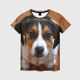 Женская футболка 3D с принтом Щеночек , 100% полиэфир ( синтетическое хлопкоподобное полотно) | прямой крой, круглый вырез горловины, длина до линии бедер | dog | бигль | пес | собака | щеночек