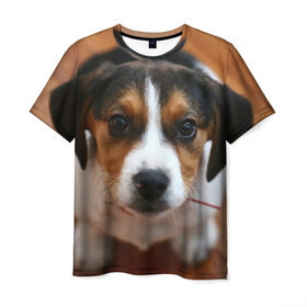 Мужская футболка 3D с принтом Щеночек , 100% полиэфир | прямой крой, круглый вырез горловины, длина до линии бедер | Тематика изображения на принте: dog | бигль | пес | собака | щеночек