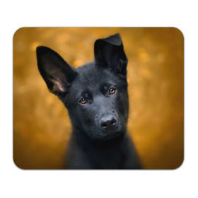 Коврик прямоугольный с принтом Doggy , натуральный каучук | размер 230 х 185 мм; запечатка лицевой стороны | Тематика изображения на принте: dog | овчарка | пес | собака | черная овчарка | щеночек