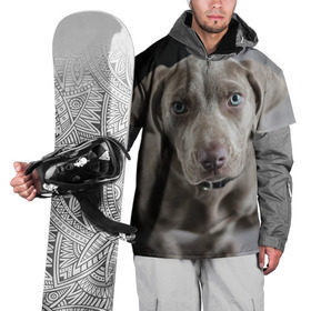 Накидка на куртку 3D с принтом Puppy , 100% полиэстер |  | Тематика изображения на принте: dog | веймаранер | пес | собака | щеночек