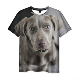 Мужская футболка 3D с принтом Puppy , 100% полиэфир | прямой крой, круглый вырез горловины, длина до линии бедер | dog | веймаранер | пес | собака | щеночек