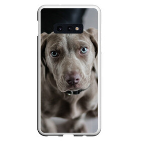 Чехол для Samsung S10E с принтом Puppy , Силикон | Область печати: задняя сторона чехла, без боковых панелей | Тематика изображения на принте: dog | веймаранер | пес | собака | щеночек