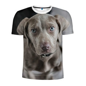 Мужская футболка 3D спортивная с принтом Puppy , 100% полиэстер с улучшенными характеристиками | приталенный силуэт, круглая горловина, широкие плечи, сужается к линии бедра | dog | веймаранер | пес | собака | щеночек