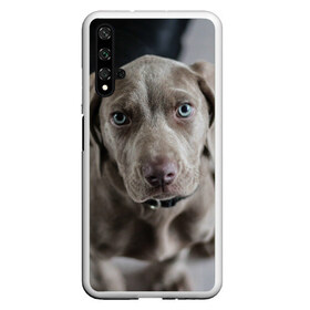 Чехол для Honor 20 с принтом Puppy , Силикон | Область печати: задняя сторона чехла, без боковых панелей | dog | веймаранер | пес | собака | щеночек