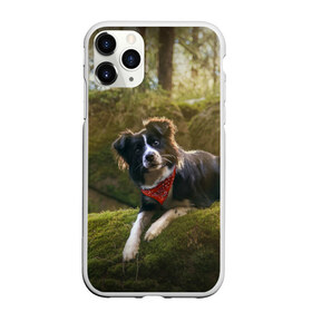 Чехол для iPhone 11 Pro матовый с принтом Лес , Силикон |  | Тематика изображения на принте: dog | бордер колли | пес | собака