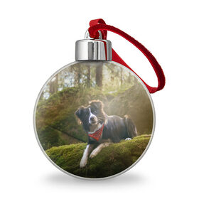 Ёлочный шар с принтом Лес , Пластик | Диаметр: 77 мм | Тематика изображения на принте: dog | бордер колли | пес | собака