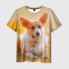Мужская футболка 3D с принтом Взгляд , 100% полиэфир | прямой крой, круглый вырез горловины, длина до линии бедер | dog | вельш корги | корги | пес | собака