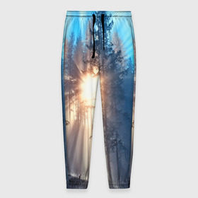 Мужские брюки 3D с принтом Woodland , 100% полиэстер | манжеты по низу, эластичный пояс регулируется шнурком, по бокам два кармана без застежек, внутренняя часть кармана из мелкой сетки | деревья | лес | пейзаж