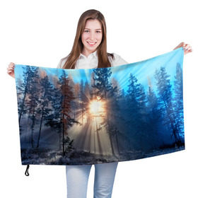 Флаг 3D с принтом Woodland , 100% полиэстер | плотность ткани — 95 г/м2, размер — 67 х 109 см. Принт наносится с одной стороны | деревья | лес | пейзаж