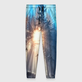 Женские брюки 3D с принтом Woodland , полиэстер 100% | прямой крой, два кармана без застежек по бокам, с мягкой трикотажной резинкой на поясе и по низу штанин. В поясе для дополнительного комфорта — широкие завязки | деревья | лес | пейзаж