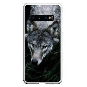 Чехол для Samsung Galaxy S10 с принтом Волк в траве , Силикон | Область печати: задняя сторона чехла, без боковых панелей | природа | серый | хищник