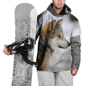 Накидка на куртку 3D с принтом Хозяин леса , 100% полиэстер |  | волк | серый