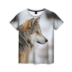 Женская футболка 3D с принтом Хозяин леса , 100% полиэфир ( синтетическое хлопкоподобное полотно) | прямой крой, круглый вырез горловины, длина до линии бедер | волк | серый