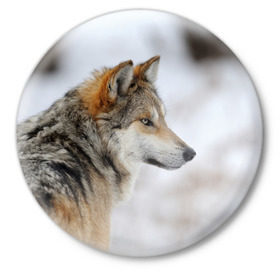 Значок с принтом Хозяин леса ,  металл | круглая форма, металлическая застежка в виде булавки | волк | серый