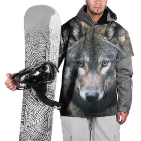 Накидка на куртку 3D с принтом Серый волк , 100% полиэстер |  | аука | бирюк | волк | волчара | волчица | волчок | глаза | животное | животные | зверь | зеленые | койот | лес | млекопитающее | природа | санитар леса | серый | уши | фауна | хищник | черный | шакал