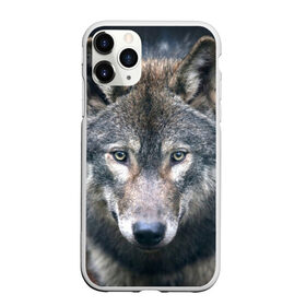 Чехол для iPhone 11 Pro Max матовый с принтом Серый волк , Силикон |  | Тематика изображения на принте: аука | бирюк | волк | волчара | волчица | волчок | глаза | животное | животные | зверь | зеленые | койот | лес | млекопитающее | природа | санитар леса | серый | уши | фауна | хищник | черный | шакал