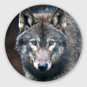 Коврик круглый с принтом Серый волк , резина и полиэстер | круглая форма, изображение наносится на всю лицевую часть | аука | бирюк | волк | волчара | волчица | волчок | глаза | животное | животные | зверь | зеленые | койот | лес | млекопитающее | природа | санитар леса | серый | уши | фауна | хищник | черный | шакал