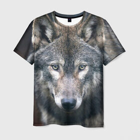 Мужская футболка 3D с принтом Серый волк , 100% полиэфир | прямой крой, круглый вырез горловины, длина до линии бедер | аука | бирюк | волк | волчара | волчица | волчок | глаза | животное | животные | зверь | зеленые | койот | лес | млекопитающее | природа | санитар леса | серый | уши | фауна | хищник | черный | шакал