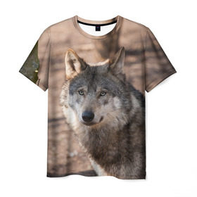 Мужская футболка 3D с принтом Серый волк , 100% полиэфир | прямой крой, круглый вырез горловины, длина до линии бедер | Тематика изображения на принте: аука | бирюк | волк | волчара | волчица | волчок | глаза | животное | животные | зверь | зеленые | койот | лес | млекопитающее | природа | санитар леса | серый | уши | фауна | хищник | черный | шакал