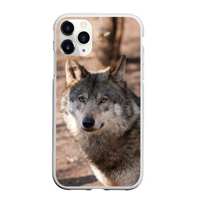 Чехол для iPhone 11 Pro матовый с принтом Серый волк , Силикон |  | аука | бирюк | волк | волчара | волчица | волчок | глаза | животное | животные | зверь | зеленые | койот | лес | млекопитающее | природа | санитар леса | серый | уши | фауна | хищник | черный | шакал