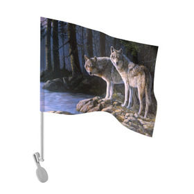 Флаг для автомобиля с принтом Волки, картина маслом , 100% полиэстер | Размер: 30*21 см | аука | бирюк | волк | волчара | волчица | волчок | глаза | животное | животные | зверь | зеленые | койот | лес | млекопитающее | природа | санитар леса | серый | уши | фауна | хищник | черный | шакал