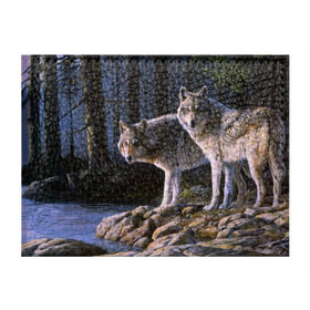 Обложка для студенческого билета с принтом Волки, картина маслом , натуральная кожа | Размер: 11*8 см; Печать на всей внешней стороне | аука | бирюк | волк | волчара | волчица | волчок | глаза | животное | животные | зверь | зеленые | койот | лес | млекопитающее | природа | санитар леса | серый | уши | фауна | хищник | черный | шакал