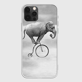 Чехол для iPhone 12 Pro с принтом Hipster Bike , силикон | область печати: задняя сторона чехла, без боковых панелей | elephant | hipster | индия | йога | слон | хипстер