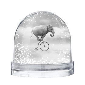 Снежный шар с принтом Hipster Bike , Пластик | Изображение внутри шара печатается на глянцевой фотобумаге с двух сторон | elephant | hipster | индия | йога | слон | хипстер
