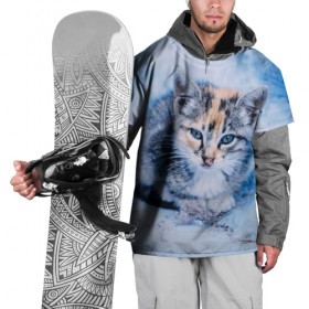 Накидка на куртку 3D с принтом Трехцветный котенок зимой , 100% полиэстер |  | грустный | добрый | животное | киса | киска кися | кот | котенок | котэ | кошка | красивый | лапа | лапка | ласковый | милый | моська | мурлыка | прикольный | смешной | унылый | усатый | шерсть