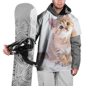Накидка на куртку 3D с принтом Любопытный котенок , 100% полиэстер |  | грустный | добрый | животное | киса | киска кися | кот | котенок | котэ | кошка | красивый | лапа | лапка | ласковый | милый | моська | мурлыка | прикольный | смешной | унылый | усатый | шерсть