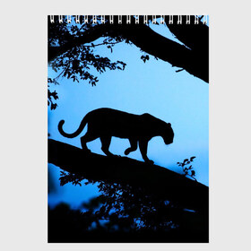 Скетчбук с принтом Чёрная пантера , 100% бумага
 | 48 листов, плотность листов — 100 г/м2, плотность картонной обложки — 250 г/м2. Листы скреплены сверху удобной пружинной спиралью | африка | вечер | дерево | дикая кошка | закат | леопард | сафари | ягуар