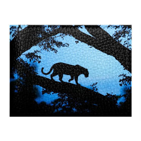 Обложка для студенческого билета с принтом Чёрная пантера , натуральная кожа | Размер: 11*8 см; Печать на всей внешней стороне | африка | вечер | дерево | дикая кошка | закат | леопард | сафари | ягуар