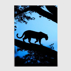 Постер с принтом Чёрная пантера , 100% бумага
 | бумага, плотность 150 мг. Матовая, но за счет высокого коэффициента гладкости имеет небольшой блеск и дает на свету блики, но в отличии от глянцевой бумаги не покрыта лаком | африка | вечер | дерево | дикая кошка | закат | леопард | сафари | ягуар