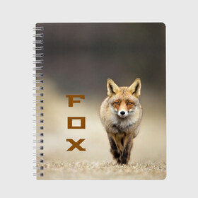 Тетрадь с принтом Рыжий лис (fox) , 100% бумага | 48 листов, плотность листов — 60 г/м2, плотность картонной обложки — 250 г/м2. Листы скреплены сбоку удобной пружинной спиралью. Уголки страниц и обложки скругленные. Цвет линий — светло-серый
 | fox | животное | зверь | красивая | лес | лис | лиса | лисенок | лисица | лисичка | мех | патрикеевна | песец | плутовка | прикольная | природа | рыжая | рыжий цвет | сказка | хвост | хитрая | хищник