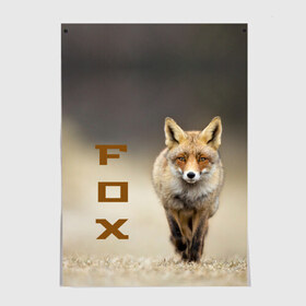 Постер с принтом Рыжий лис (fox) , 100% бумага
 | бумага, плотность 150 мг. Матовая, но за счет высокого коэффициента гладкости имеет небольшой блеск и дает на свету блики, но в отличии от глянцевой бумаги не покрыта лаком | fox | животное | зверь | красивая | лес | лис | лиса | лисенок | лисица | лисичка | мех | патрикеевна | песец | плутовка | прикольная | природа | рыжая | рыжий цвет | сказка | хвост | хитрая | хищник