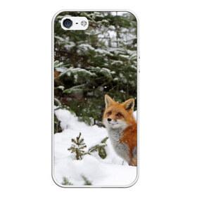 Чехол для iPhone 5/5S матовый с принтом Лиса в зимнем лесу , Силикон | Область печати: задняя сторона чехла, без боковых панелей | fox | животное | зверь | красивая | лес | лис | лиса | лисенок | лисица | лисичка | мех | патрикеевна | песец | плутовка | прикольная | природа | рыжая | рыжий цвет | сказка | хвост | хитрая | хищник