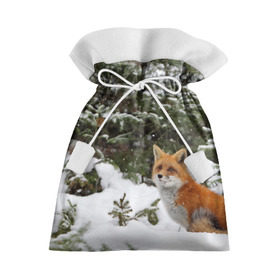 Подарочный 3D мешок с принтом Лиса в зимнем лесу , 100% полиэстер | Размер: 29*39 см | fox | животное | зверь | красивая | лес | лис | лиса | лисенок | лисица | лисичка | мех | патрикеевна | песец | плутовка | прикольная | природа | рыжая | рыжий цвет | сказка | хвост | хитрая | хищник
