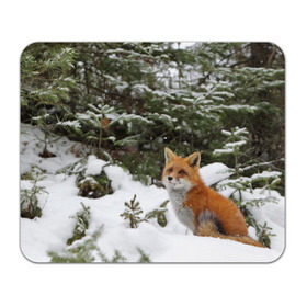 Коврик прямоугольный с принтом Лиса в зимнем лесу , натуральный каучук | размер 230 х 185 мм; запечатка лицевой стороны | fox | животное | зверь | красивая | лес | лис | лиса | лисенок | лисица | лисичка | мех | патрикеевна | песец | плутовка | прикольная | природа | рыжая | рыжий цвет | сказка | хвост | хитрая | хищник