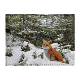 Обложка для студенческого билета с принтом Лиса в зимнем лесу , натуральная кожа | Размер: 11*8 см; Печать на всей внешней стороне | Тематика изображения на принте: fox | животное | зверь | красивая | лес | лис | лиса | лисенок | лисица | лисичка | мех | патрикеевна | песец | плутовка | прикольная | природа | рыжая | рыжий цвет | сказка | хвост | хитрая | хищник