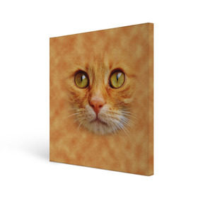Холст квадратный с принтом Котик , 100% ПВХ |  | животные | кот | котенок | котик | кошка