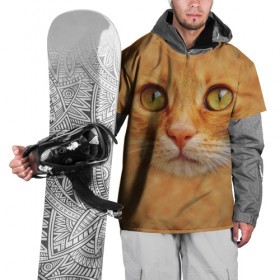 Накидка на куртку 3D с принтом Котик , 100% полиэстер |  | животные | кот | котенок | котик | кошка