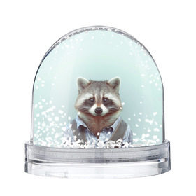 Снежный шар с принтом Хипстер Енот , Пластик | Изображение внутри шара печатается на глянцевой фотобумаге с двух сторон | raccoon | енот