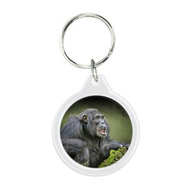 Брелок круглый с принтом Шимпанзе , пластик и полированная сталь | круглая форма, металлическое крепление в виде кольца | животные | обезьяна 