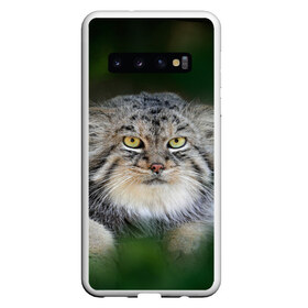 Чехол для Samsung Galaxy S10 с принтом Манул , Силикон | Область печати: задняя сторона чехла, без боковых панелей | всеядный | детеныш | дикие | животные | звери | зверята | кот | манул | медведь | хищник