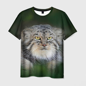 Мужская футболка 3D с принтом Манул , 100% полиэфир | прямой крой, круглый вырез горловины, длина до линии бедер | всеядный | детеныш | дикие | животные | звери | зверята | кот | манул | медведь | хищник