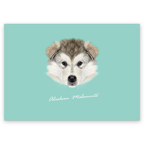 Поздравительная открытка с принтом Alaskan Malamute , 100% бумага | плотность бумаги 280 г/м2, матовая, на обратной стороне линовка и место для марки
 | alaskan malamute | dog | puppy | маламут | собака | хаски | щенок